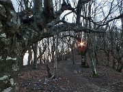 Anello Monte Ocone (1410 m) e Corna Camozzera (1452 m) dal Pertus (1300 m) il 5 gennaio 2015 - FOTOGALLERY